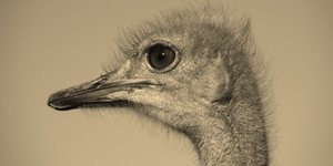 Gansbaai FotografieklubSeLaastes1 (3)